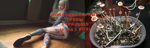 дурь Балахна