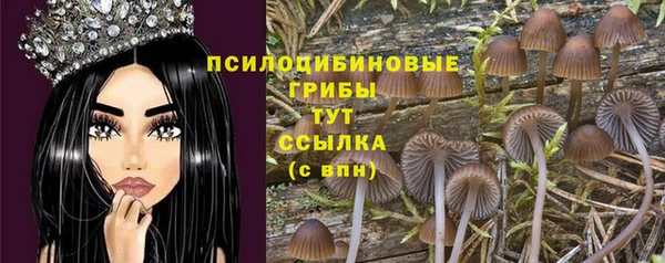 крисы Балабаново