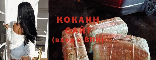 бошки Белокуриха